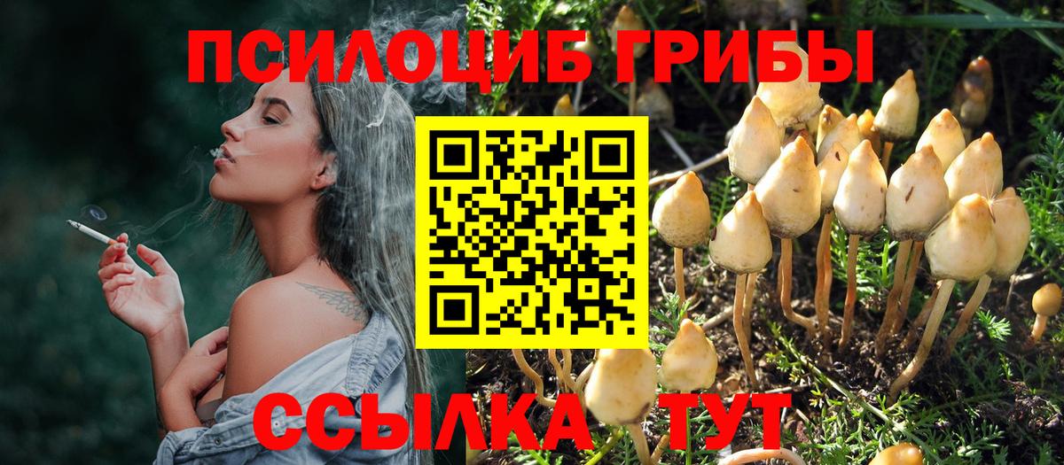 Галлюциногенные грибы GOLDEN TEACHER Гатчина