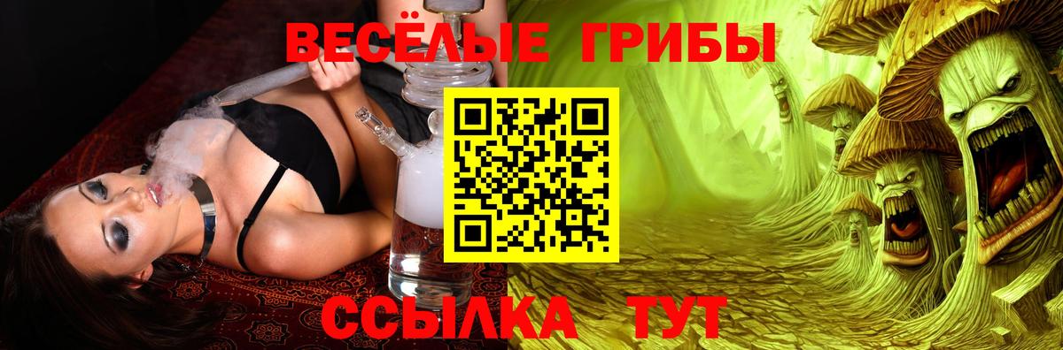 цены наркотик  Вход с VPN  Псилоцибиновые грибы Psilocybe  Гатчина  Псилоцибиновые грибы Magic Shrooms 